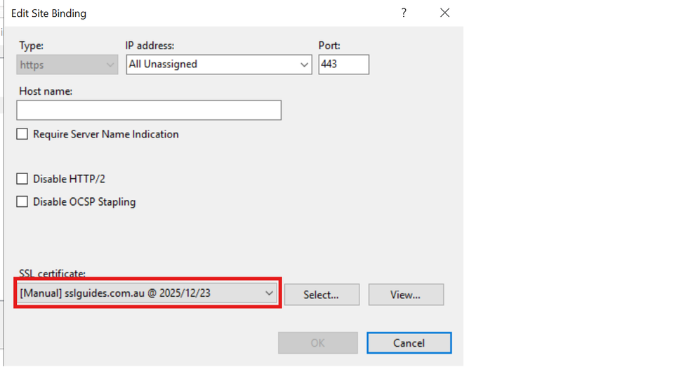 IIS HTTPS Binding Manual Certificate Present